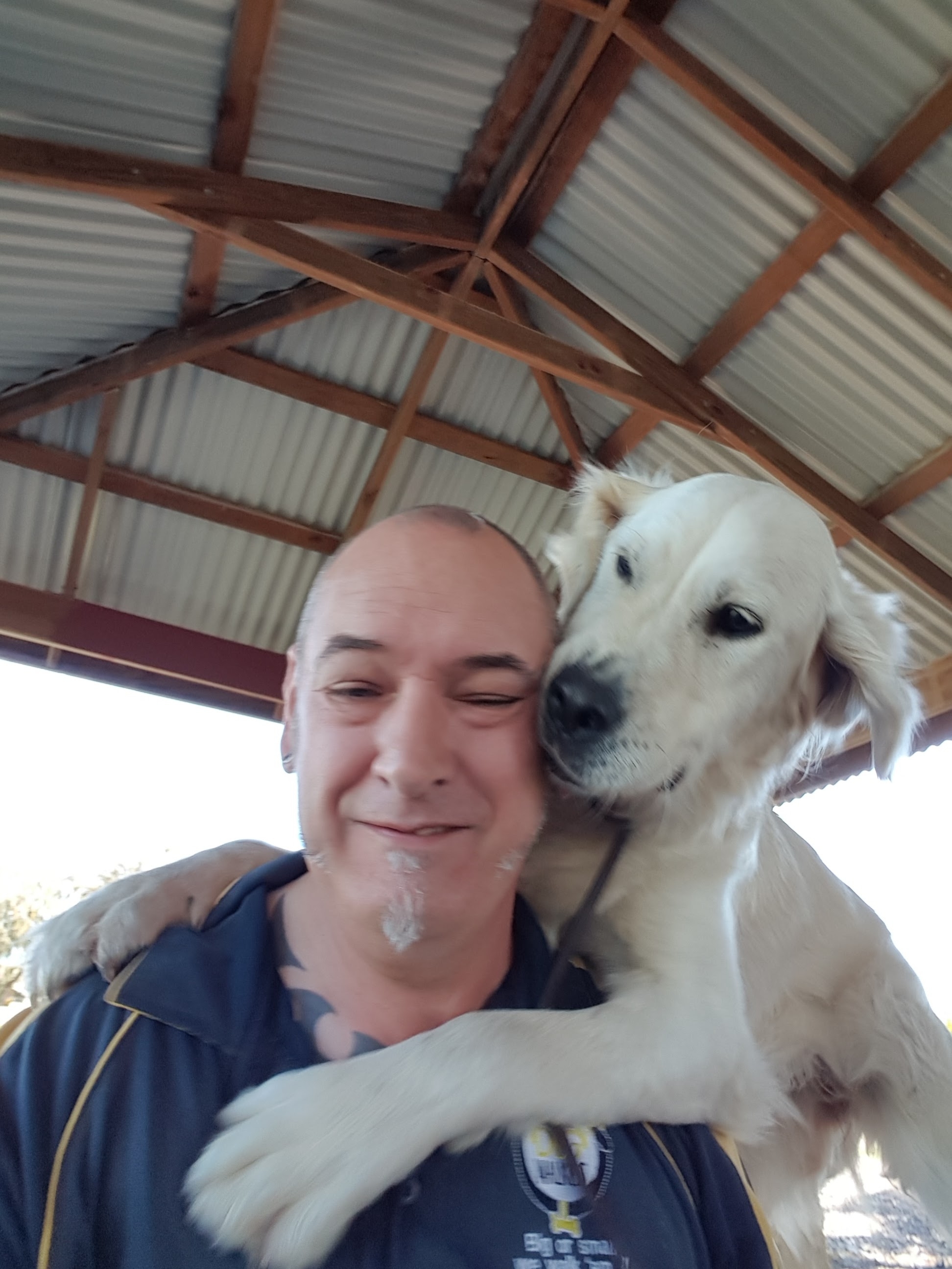 aussie-dog-walkers20170906-134617-aussie-dog-walkers